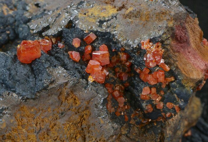 Red Vanadinite Crystals on Manganese Oxide - Morocco #38517